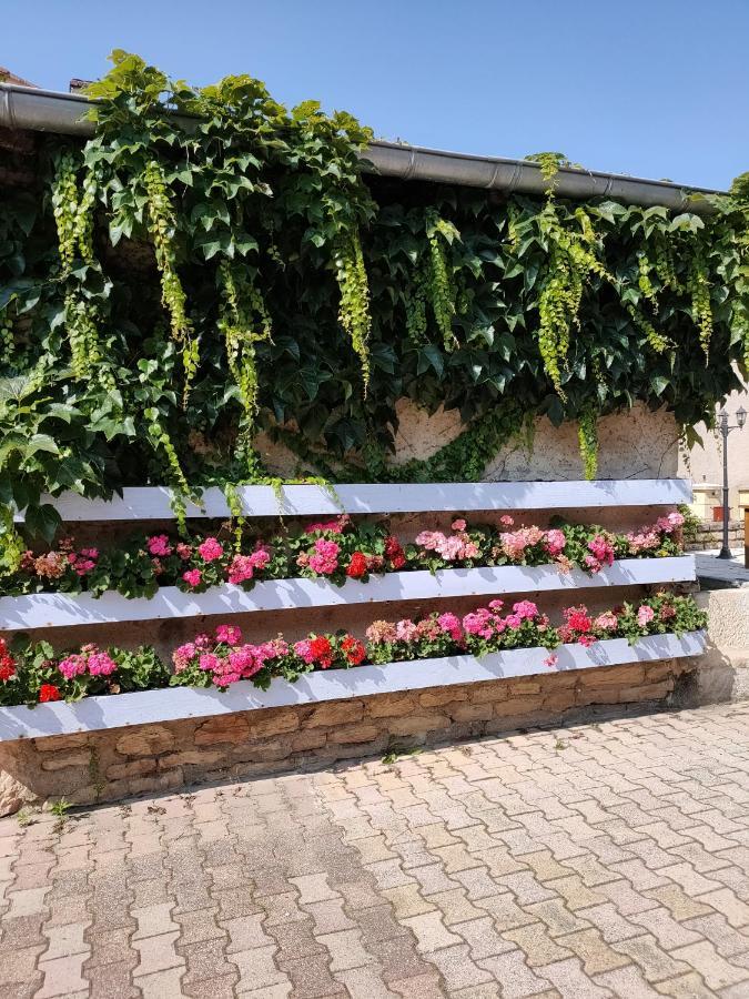 Bed and Breakfast La Ferme Du Grand Faubourg Pont-de-Vaux Esterno foto