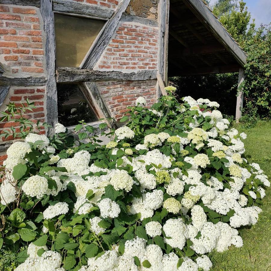 Bed and Breakfast La Ferme Du Grand Faubourg Pont-de-Vaux Esterno foto