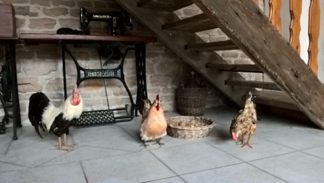 Bed and Breakfast La Ferme Du Grand Faubourg Pont-de-Vaux Esterno foto